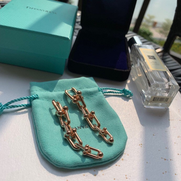 Roostick HardWear Graduated Link Earrings