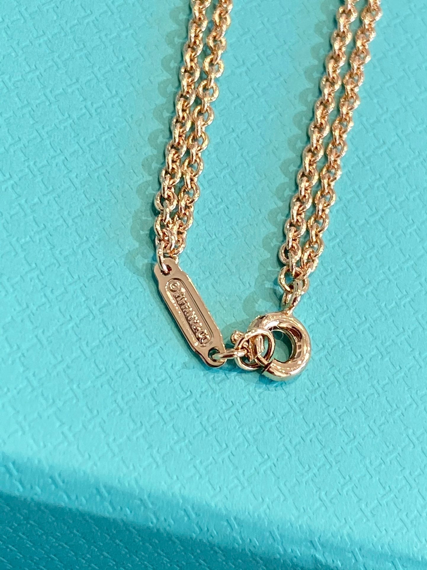Roostick HardWear Double Link Necklace