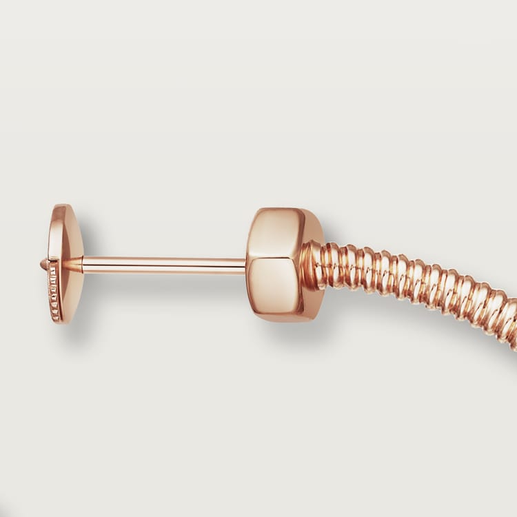 Large Écrou De Earrings