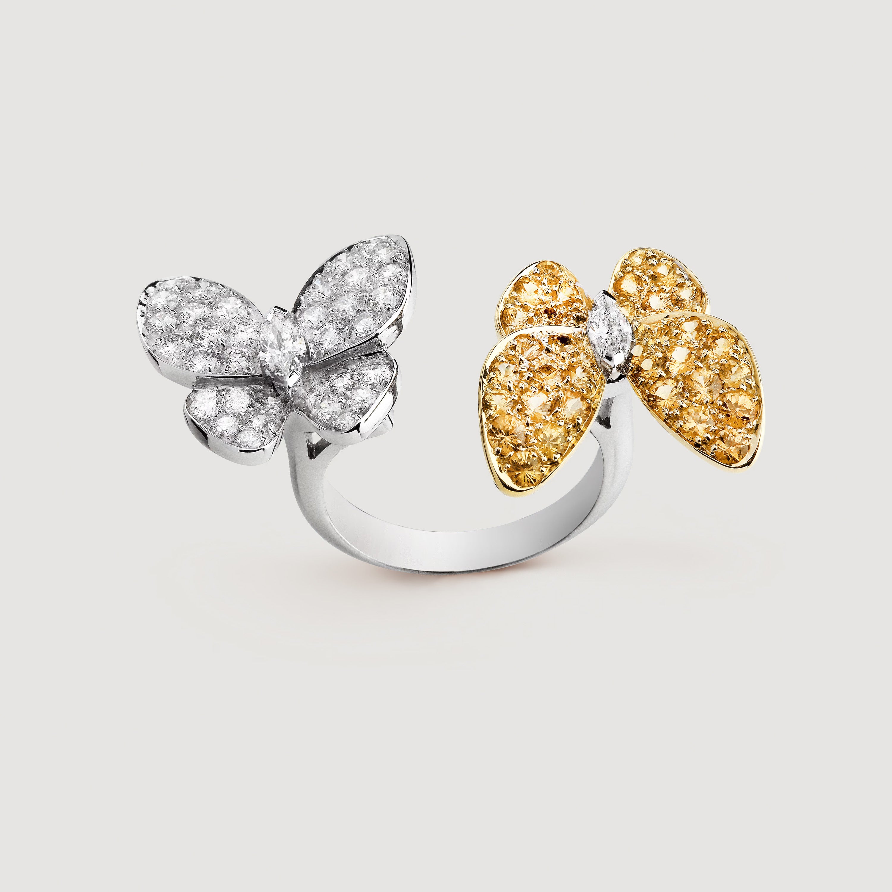 Two Butterfly Between the Finger Ring